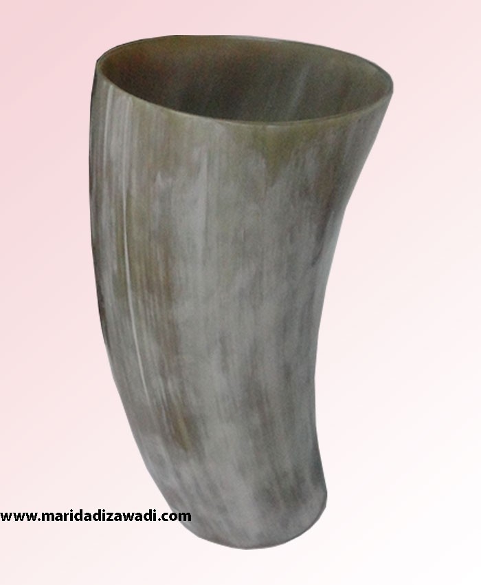 Cow Horn Vase LARGE