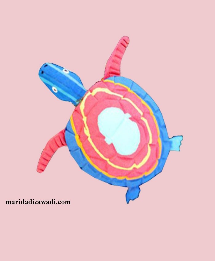 Turtle Medium